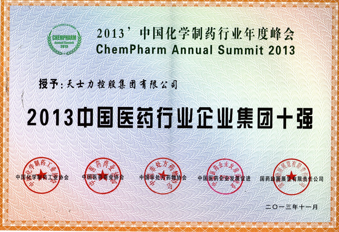 2013 China Top 10 Pharmaceutical Groups
